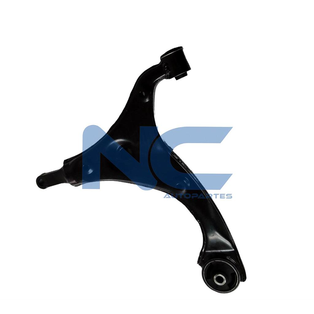 TRAPECIO DEL INF IZQ S/ROT