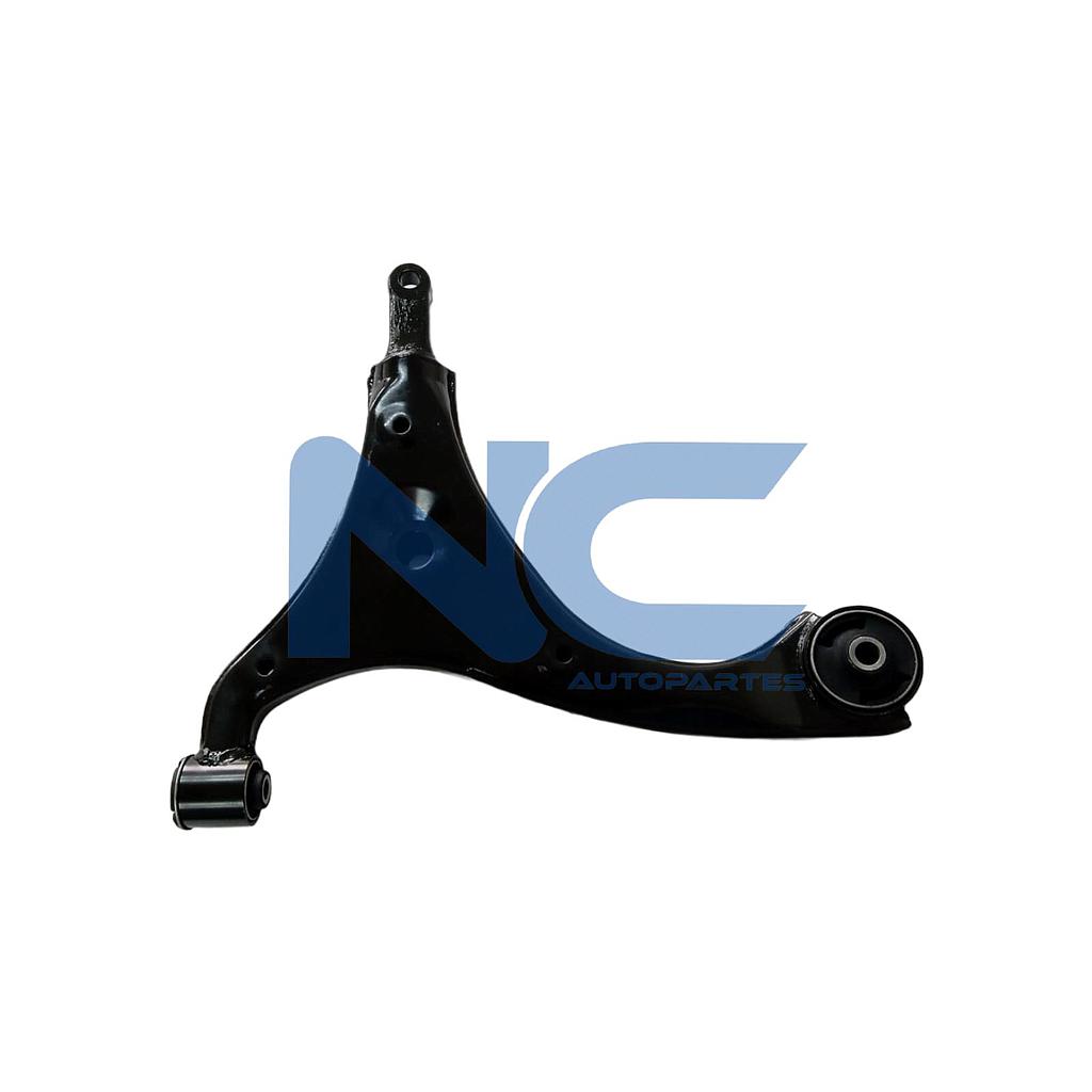 TRAPECIO DEL INF DER S/ROT