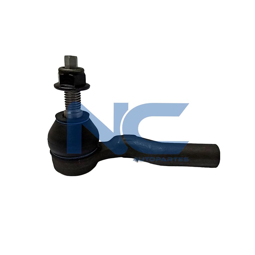 TERMINAL DIR EXT DER